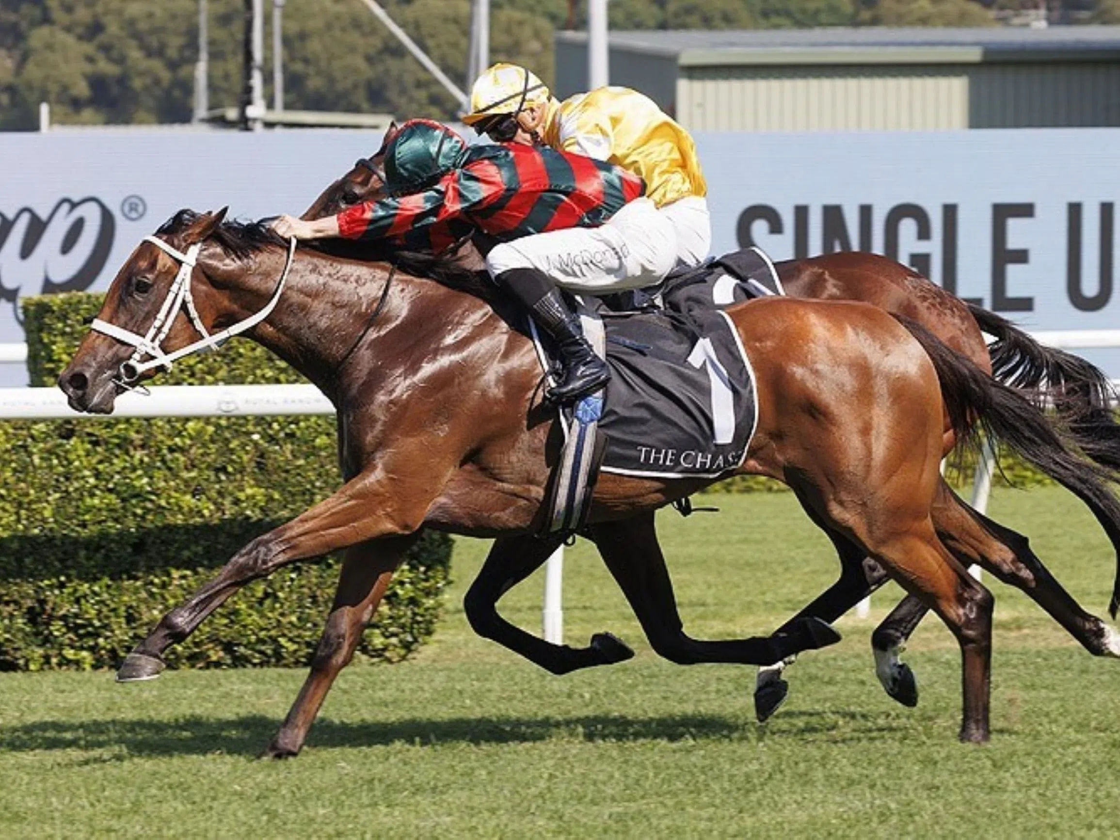 She can do it in Coolmore